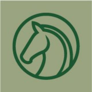 Эквирос I конная выставка