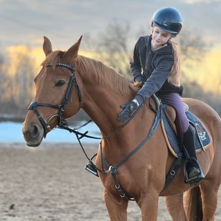 ℯ𝓆𝓊ℯ𝓈𝓉𝓇ℴ_𝓇𝒾𝒶👀