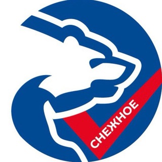 ЕДИНАЯ РОССИЯ - СНЕЖНОЕ, ДНР