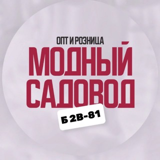 Мᴏдный Сᴀдᴏʙᴏд Б 2В-81