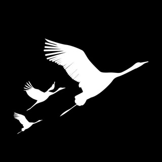 «ЕДИНАЯ РОССИЯ» Домбаровский район