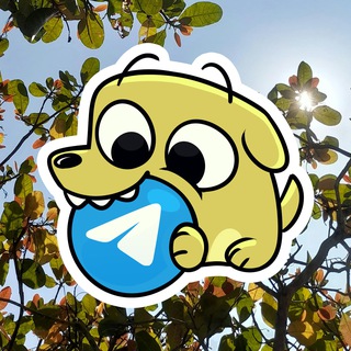 Шурик и Шарик | ЭРФФШИШ