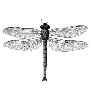 Eric Born Music Official (indie, triphop music)