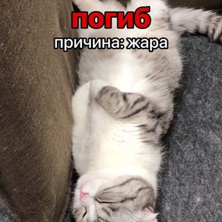 Канал Еркоши