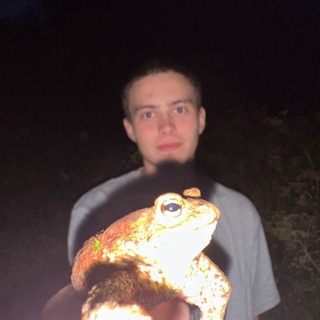 сдвг и ерунда