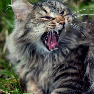 АНЕКДОТЫ2023