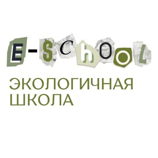 ЕГЭ и олимпиады по литературе |E-school (Экологичная школа)
