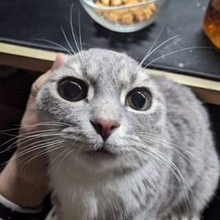 Еша каждые 5 минут