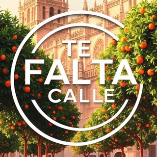 TE FALTA CALLE