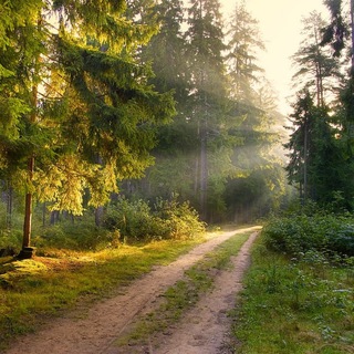 Эсперанто-лето