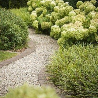 Пройдемте в сад? Я покажу вас розам.