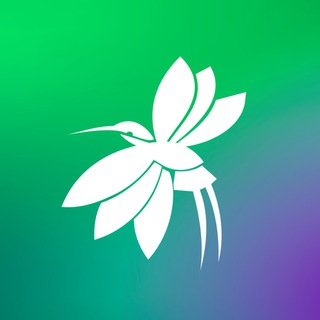 Эстетик: оборудование и товары для салонов красоты