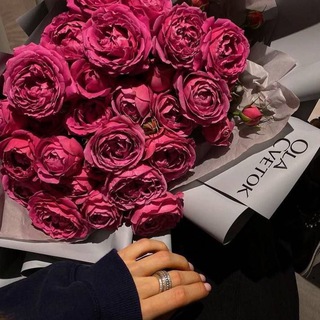 Обои на телефон🏞️