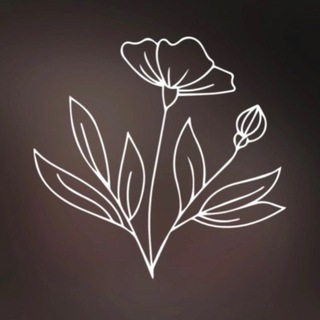 ESTETIKA - цветы доставка Псков