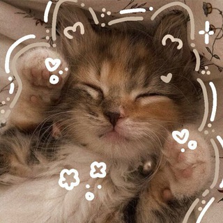 ⋆｡‧˚ʚ 𝑒𝓈𝓉𝒽𝑒𝒹𝒾𝒶 ɞ˚‧｡⋆ | Premium emoji | Themes | Wallpapers | Премиум эмоджи / эмодзи | Стикеры | Темы | Обои