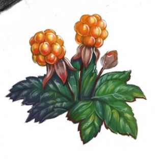 МИФОЛОГИЯ КАРЕЛИИ