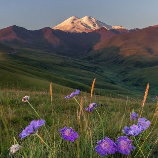 этикетка❤‍🩹