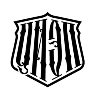 Центр изучения этнической преступности