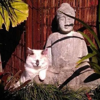 Revealed Wheel of Samsara