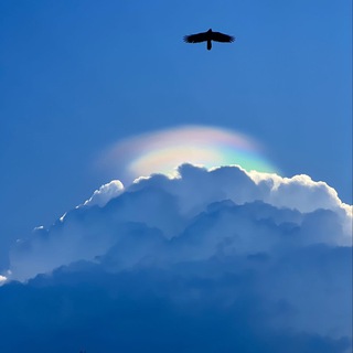 АФИША ЭТОТ МОМЕНТ