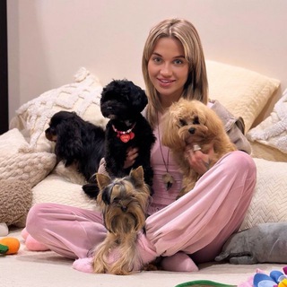 Отель для собак EVA DOGSHEART Зоопсихология