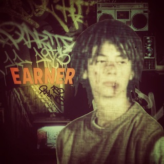 Earner | заработок на отзывах | 1sp