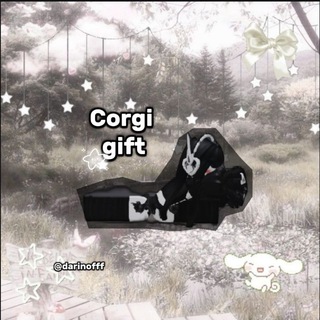 •Gifts from the corgennessy🧡•