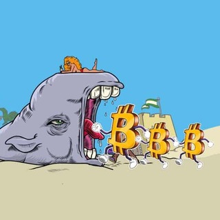 Evox Whale Alert 🐳