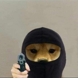 секретный тг ексальта