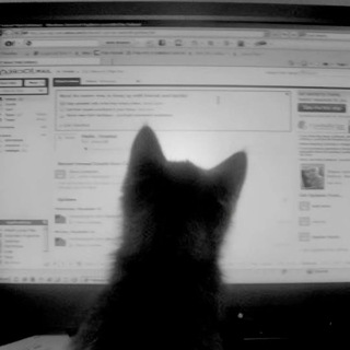 подвал десятиклассника. 🤓