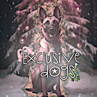 -ᴇxᴄlusivᴇ.dᴏgsᵒᶠᶠᶦᶜᶦᵃᶫ-