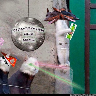 просроченные мемы