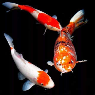 exventor логово орков и пролетариата