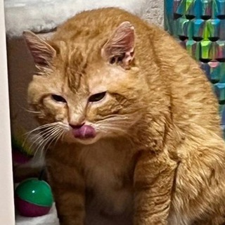 Пойду смою глаза🫧