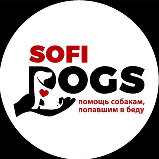 Sofidogs. 🐕