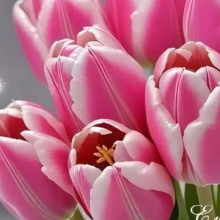 Фабрика открыток🌾🌼🌸