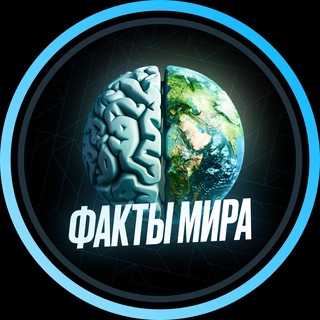 Факты мира