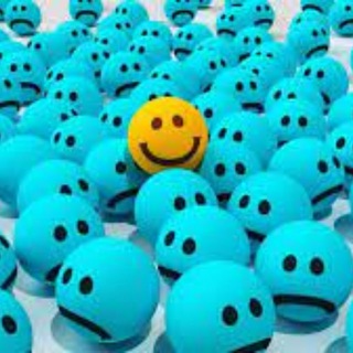 Интересные факты