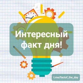 Интересные факты дня