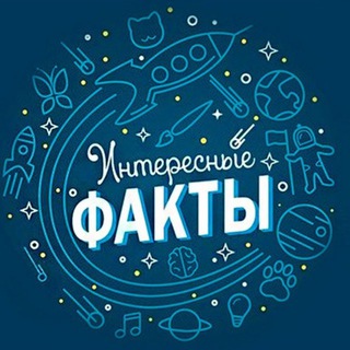 Интересные Факты