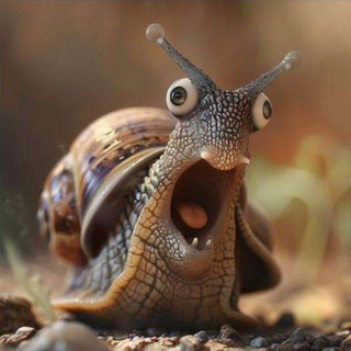 Факт на сегодня