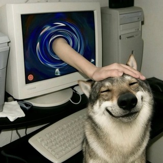 Факты на каждый день