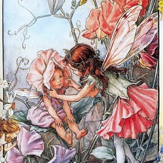 Fairyopolis. Красивые книги