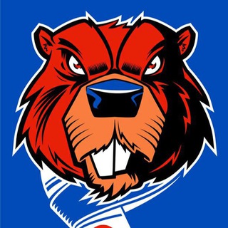 Факел / БОБЕР НАШЕПТАЛ / Трансферы / Новости