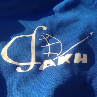 Футбольная команда ФАКИ