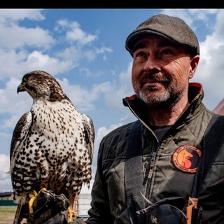 Центр соколиной охоты Константина Соколова🦅