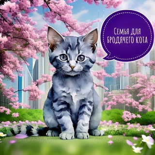 СЕМЬЯ ДЛЯ БРОДЯЧЕГО КОТА 🐱