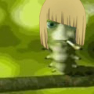 Фанаты Спайса