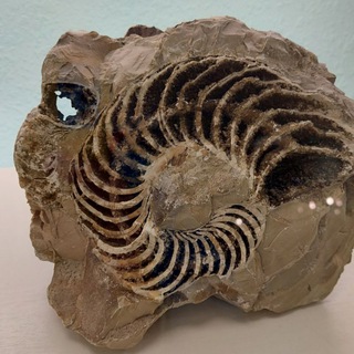 Выходные с геологом