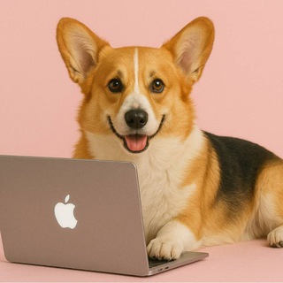 Fansly заметки от Коржика